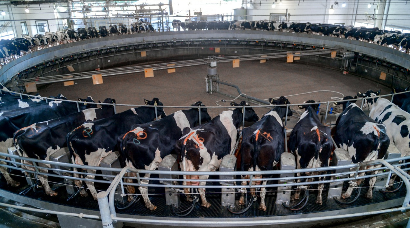 LA PRODUCCIÓN NACIONAL DE LECHE CRECIÓ 12% EN EL PRIMER SEMESTRE 2025