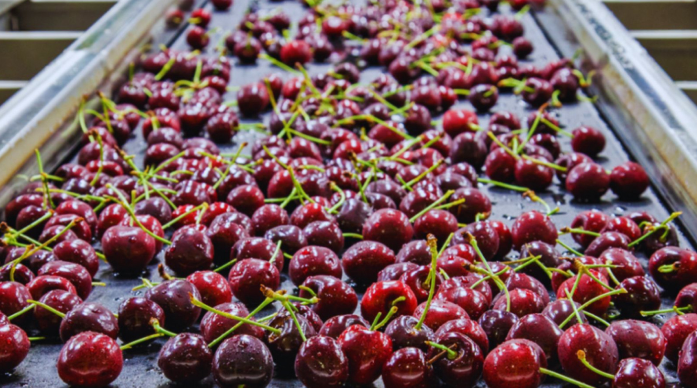 TECNOLOGÍAS INTELIGENTES PARA REDUCIR PÉRDIDAS QUE EN FRUTIHORTICULTURA PUEDEN LLEGAR HASTA UN 40 % TECNOLOGÍAS INTELIGENTES PARA REDUCIR PÉRDIDAS QUE EN FRUTIHORTICULTURA PUEDEN LLEGAR HASTA UN 40 %