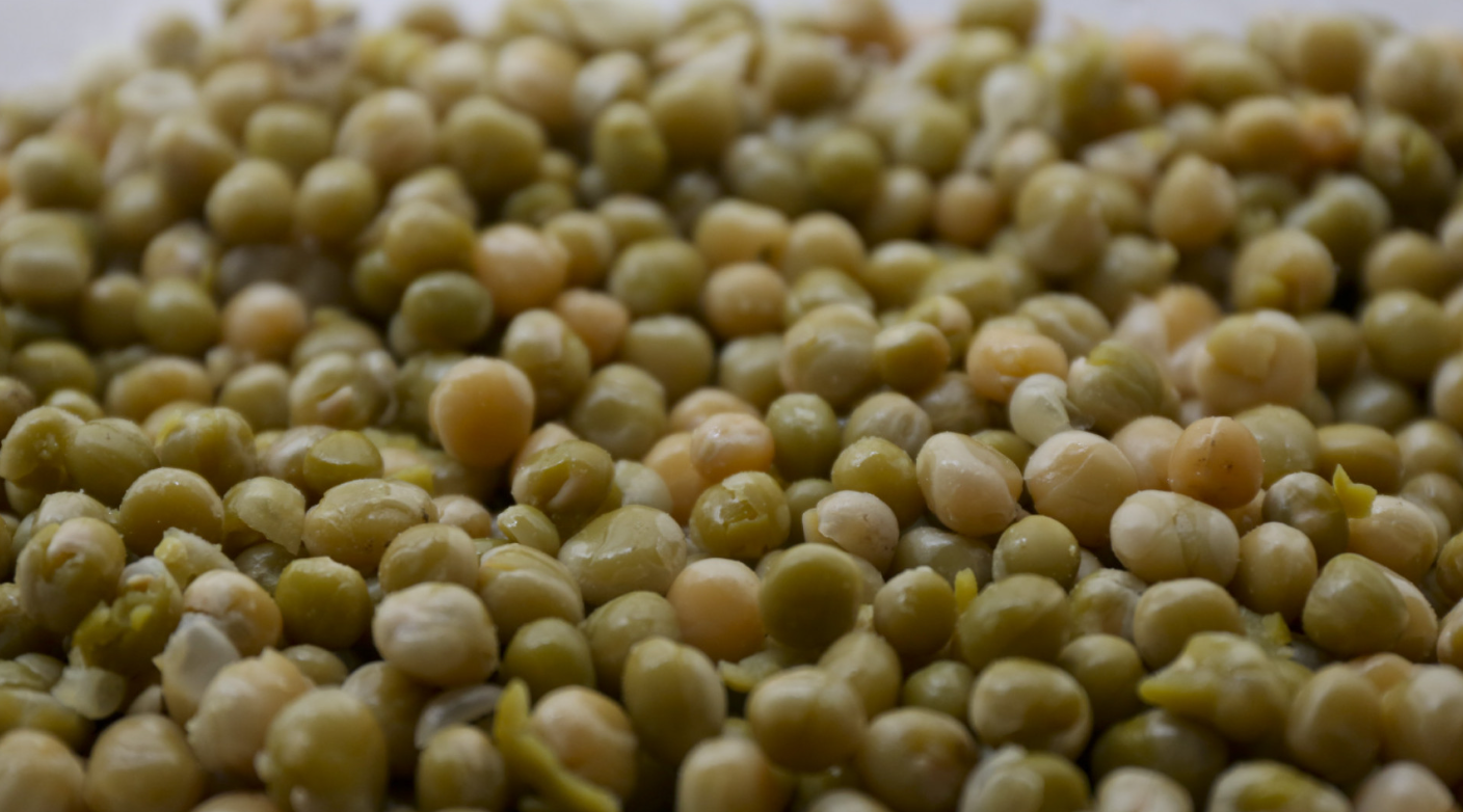 LA PRODUCCIÓN DE LEGUMBRES 2024/2025 MARCÓ UN NUEVO RÉCORD Y CRECIÓ 57% RESPECTO A LA CAMPAÑA ANTERIOR