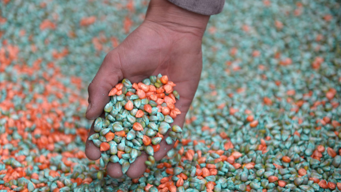 LA EMISIÓN DE WARRANTS FUE RÉCORD INTERANUAL EN LOS PRIMEROS 10 MESES DEL AÑO CON UN CRECIMIENTO DE 102% EN DÓLARES Y 69% EN PESOS