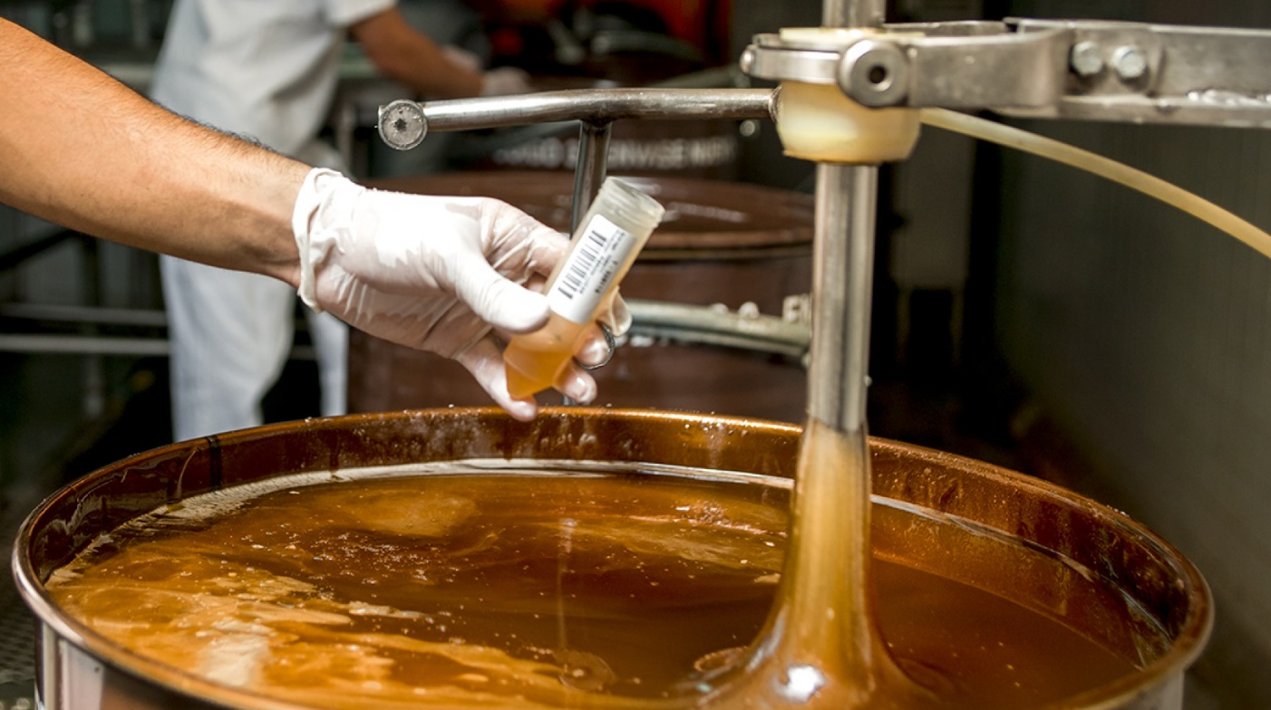 ESTRATEGIAS PARA LA PROMOCIÓN Y EL CUIDADO DE LA PRODUCCIÓN APÍCOLA EN EL NOA