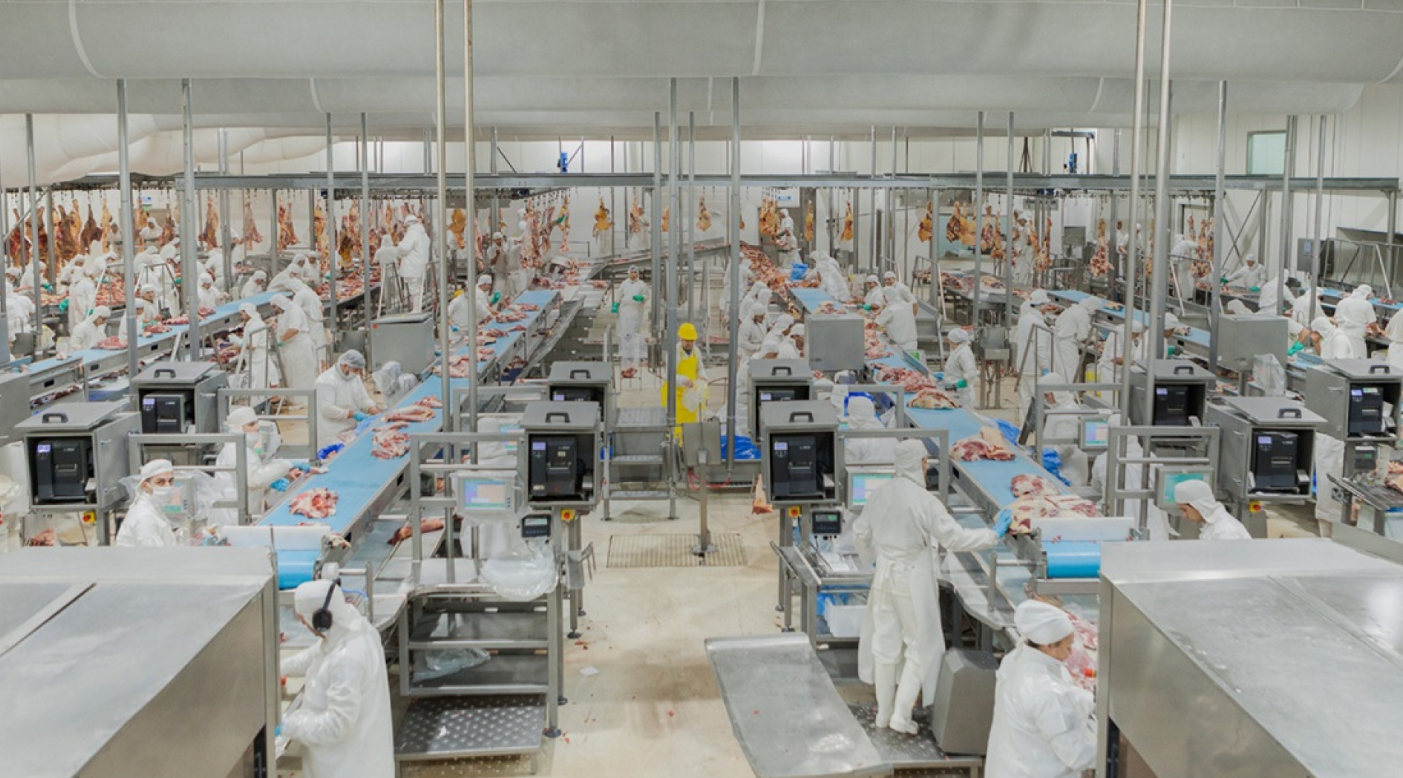 ACTUALIZACIÓN DE CRITERIOS Y REFUERZO DEL BIENESTAR ANIMAL EN PROCESOS DE INSPECCIÓN