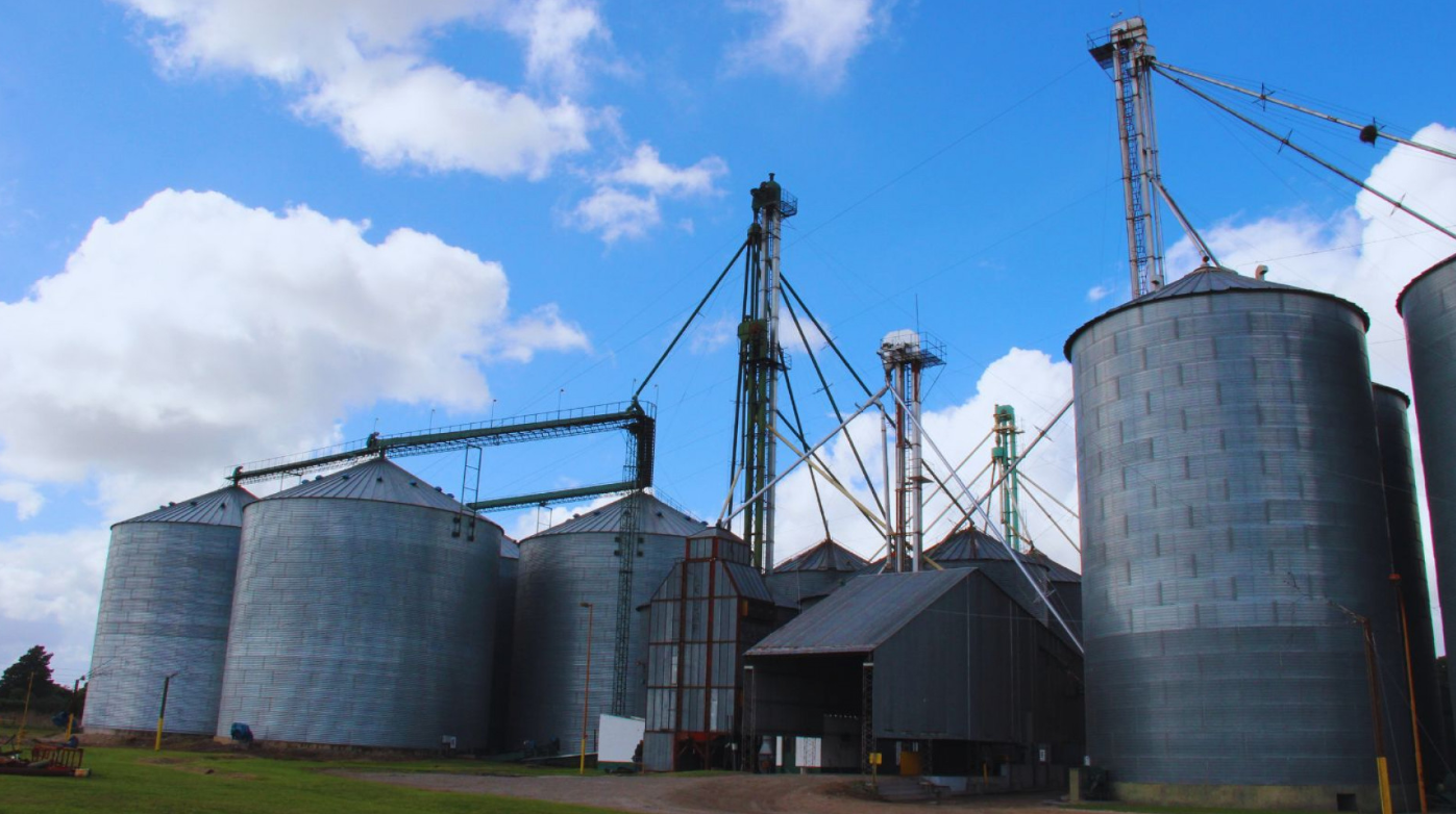 PAUTAS PARA REDUCIR EL RIESGO DE MEZCLAS EN LA COSECHA Y MINIMIZAR PÉRDIDAS