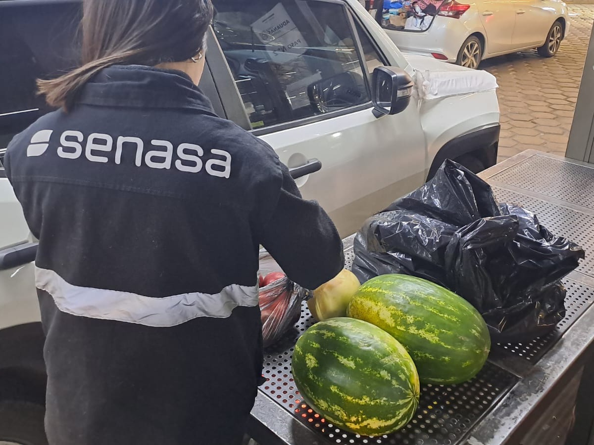 ARGENTINA Y CHILE AFIANZAN COOPERACIÓN EN SANIDAD ANIMAL, VEGETAL Y COMERCIO DE AGROALIMENTOS ARGENTINA Y CHILE AFIANZAN COOPERACIÓN EN SANIDAD ANIMAL, VEGETAL Y COMERCIO DE AGROALIMENTOS
