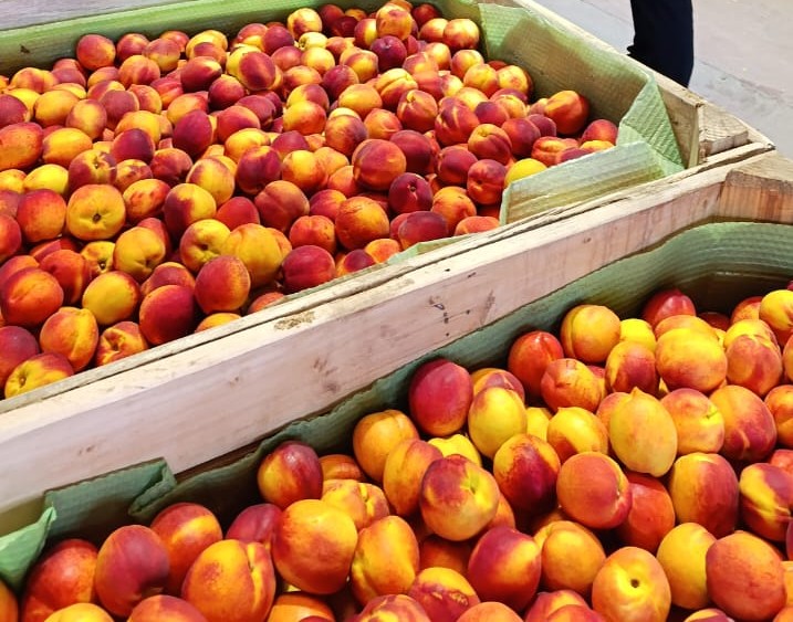 ARGENTINA AVANZA EN LA APERTURA DEL MERCADO DE CHINA PARA EXPORTACIÓN DE FRUTAS DE CAROZO