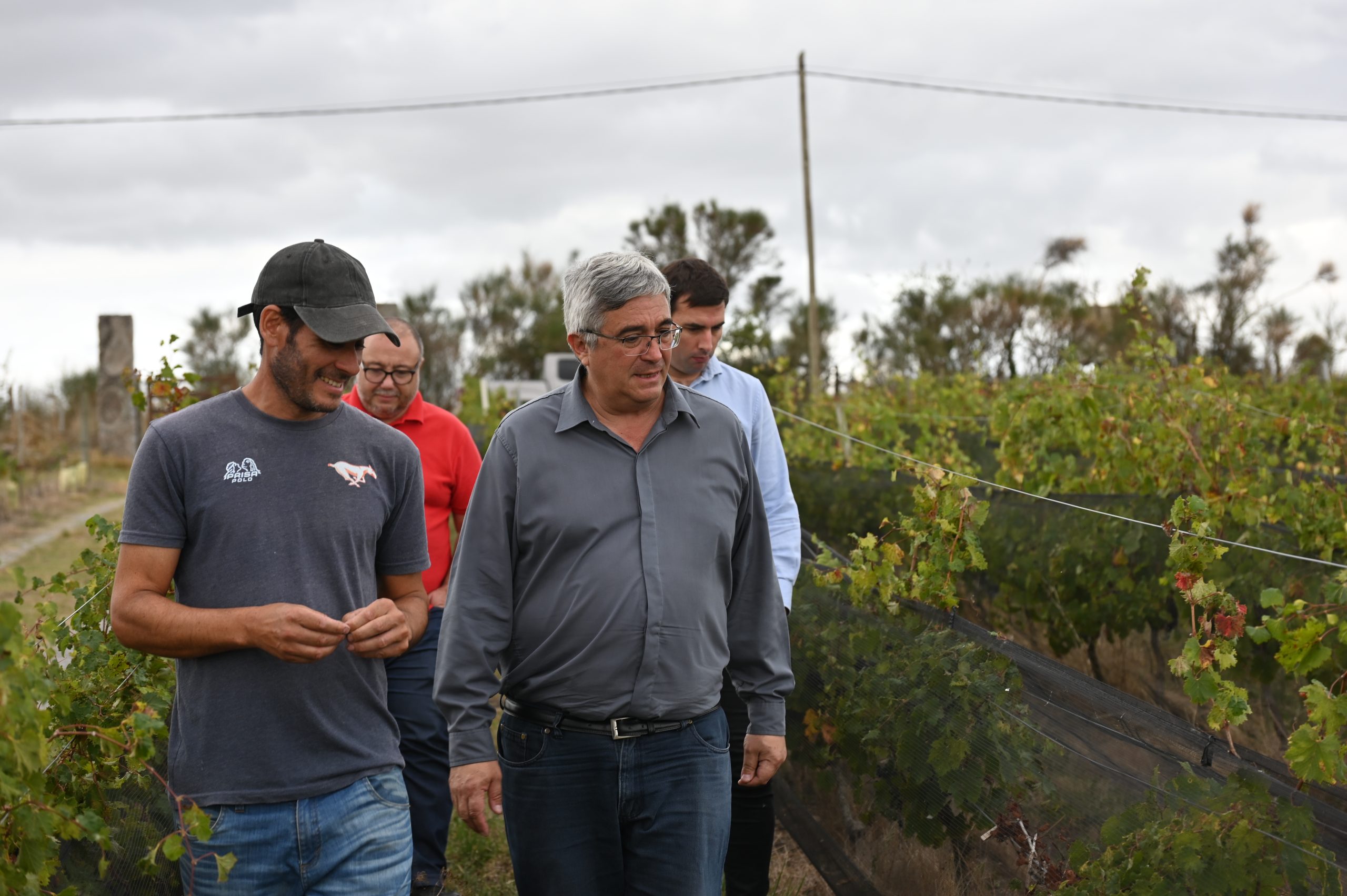 RODRÍGUEZ EN TANDIL ALERTA POR CRISIS VITIVINÍCOLA: «EN LA VENDIMIA NACIONAL NO HAY NADA QUE FESTEJAR»